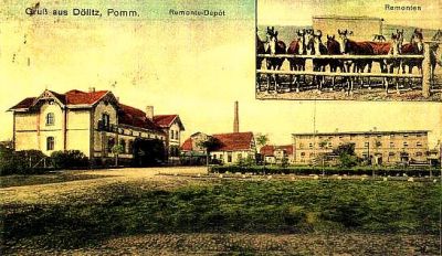 Kliknij aby zobaczyć pełny rozmiar