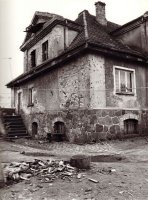 Kliknij aby zobaczyć pełny rozmiar