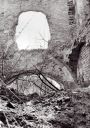 Morzyca_nr_42.jpg